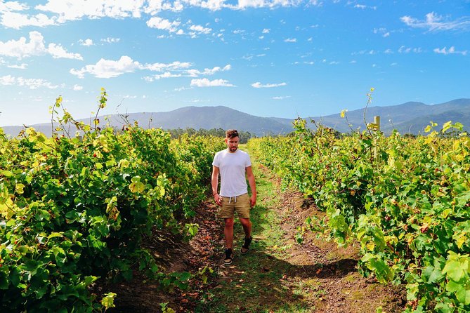 El Penedès Hike & Wine. Premium Small Group Tour From Barcelona - Booking Information