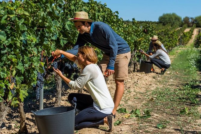 El Penedès Hike & Wine. Premium Small Group Tour From Barcelona - Common Questions