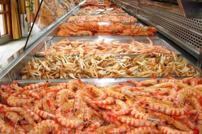 El Puerto De Santa María: Local Tapas Experience - Language and Accessibility