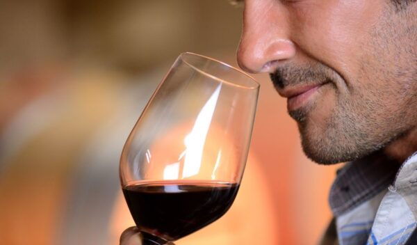 El Puerto De Santa María Winery and Tasting - Tour Highlights