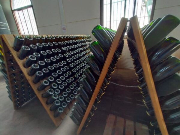 El Puerto De Santa María Winery and Tasting - Frequently Asked Questions