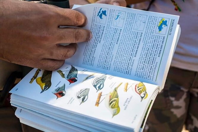 El Quetzal Birdwatching Tour From Guatemala City - Guatemala´S National Bird - Tour Inclusions