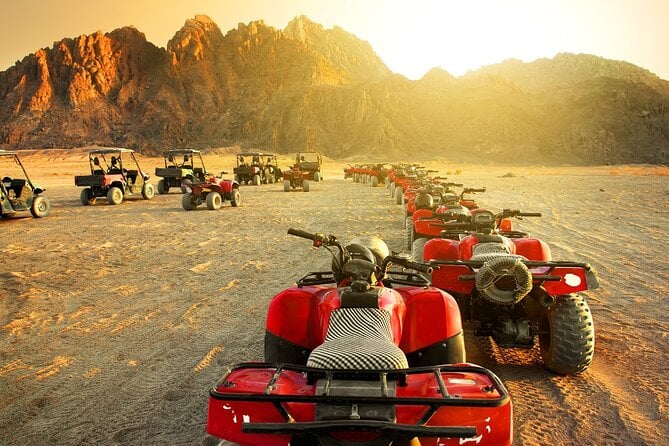 El Quseir Small-Group Morning or Afternoon Quad With Camel Tour - Good To Know
