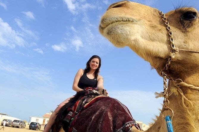 El Quseir Small-Group Morning or Afternoon Quad With Camel Tour - Booking and Cancellation Policy