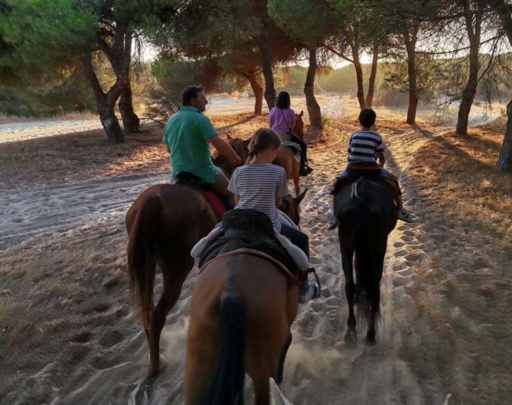 El Rocío: Doñana National Park Horseback Riding Tour - Experience Highlights