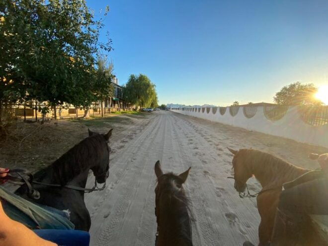 El Rocío: Doñana National Park Horseback Riding Tour - Important Information