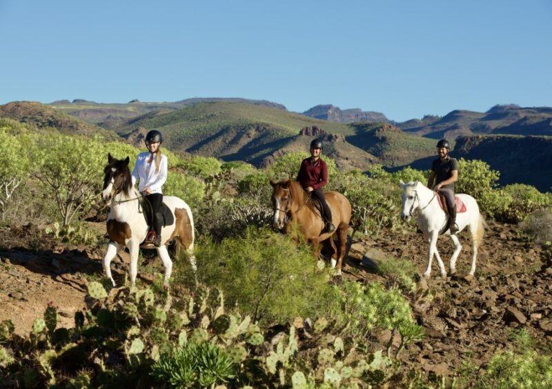 El Salobre: Horse Riding Adventure with Transfer Options - Starting with the basics: What’s included?