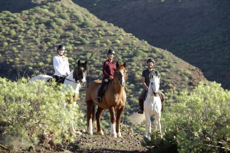 El Salobre: Horse Riding Adventure with Transfer Options - Highlights along the trail