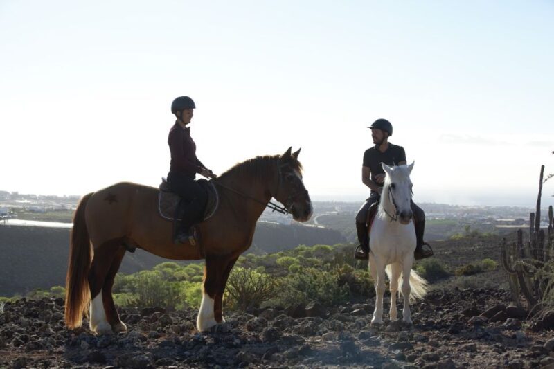El Salobre: Horse Riding Adventure with Transfer Options - The overall value: How does it compare?