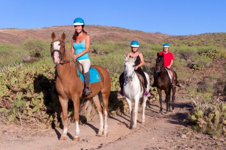 El Salobre: Horse Riding Adventure With Transfer Options - Experience