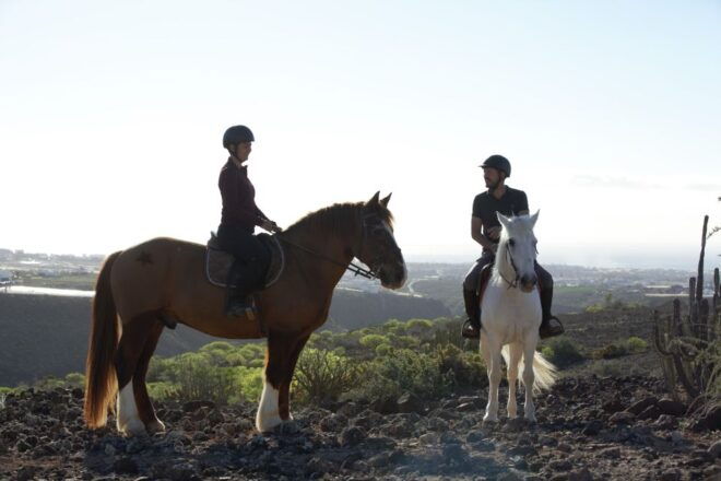 El Salobre: Horse Riding Adventure With Transfer Options - Booking Details