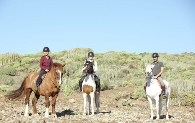 El Salobre: Horse Riding Adventure With Transfer Options - The Sum Up