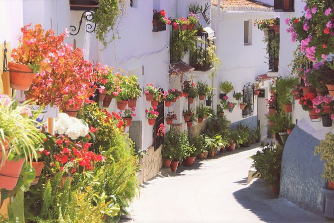 El Saltillo Gorge and White Village Hiking Tour From Malaga - Additional Information
