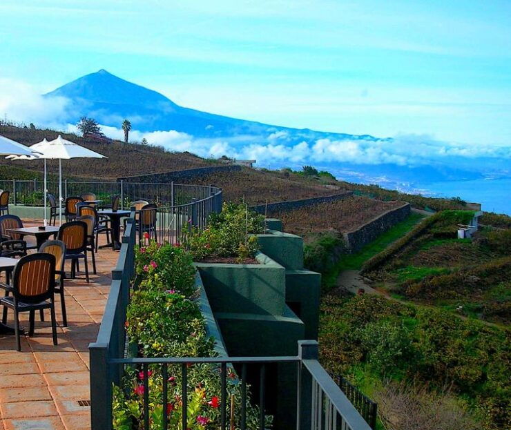El Sauzal: Winery Tour and Mojo Sauce Workshop - Experience Highlights