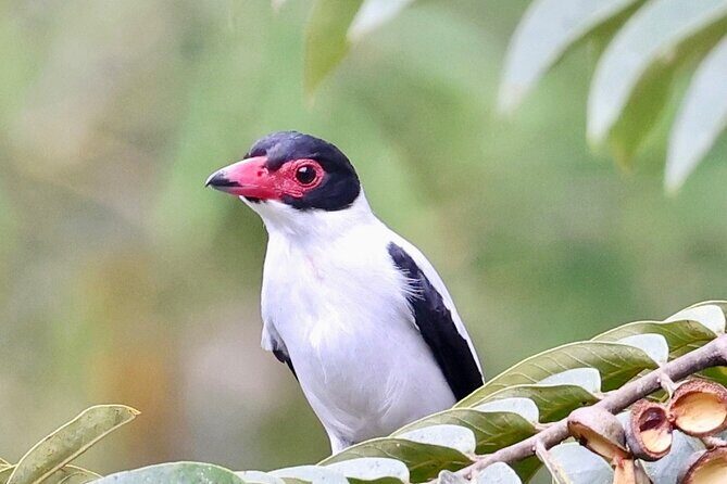 El Suzanne Estate Birding & Nature Reserve Tour - Good To Know