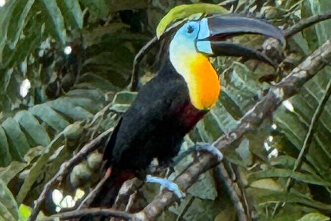 El Suzanne Estate Birding & Nature Reserve Tour - The Experience: Pros and Cons