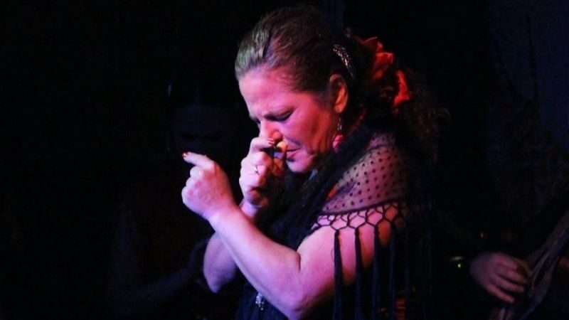 El Toro y la Luna tablao flamenco show ticket in Valencia - Who will enjoy this performance