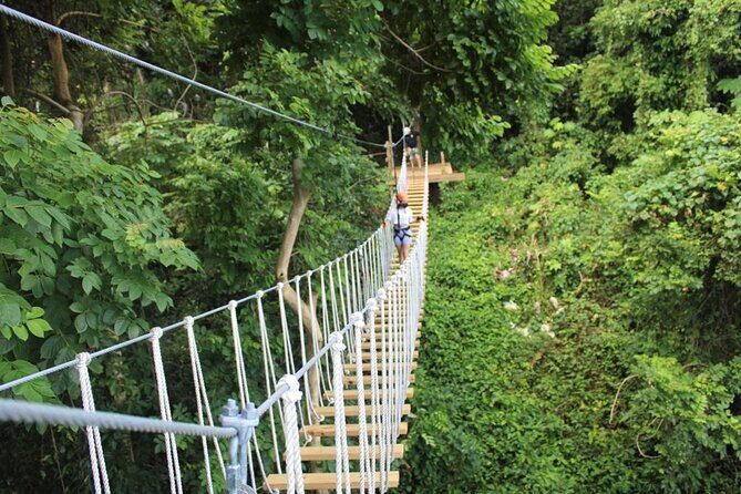 El Yunque Adventure Trail - Good To Know