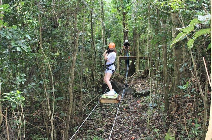 El Yunque Adventure Trail - The Sum Up