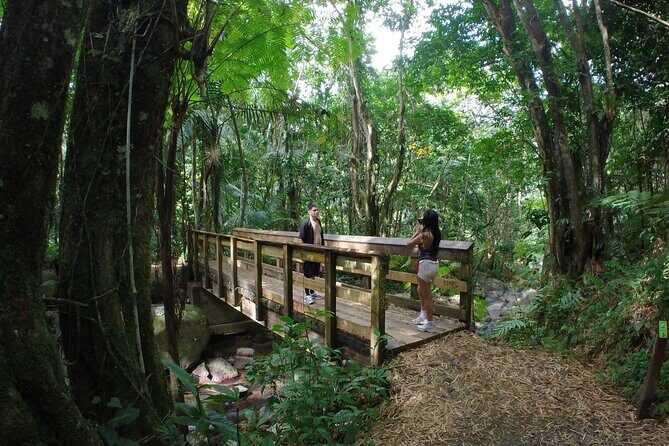 El Yunque Beach Jetski + Rainforest Hike Adventure Tour - Practical Details and Logistics