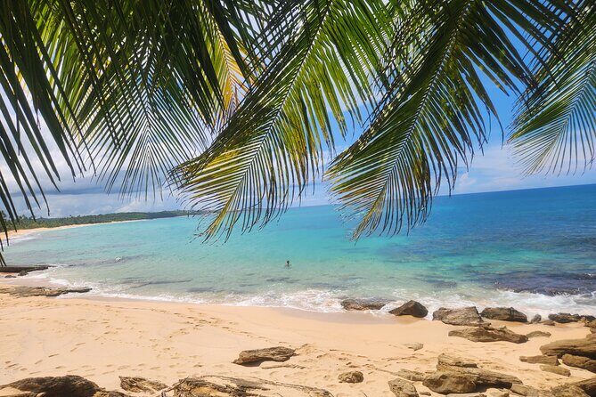 El Yunque & Beach Tour: Waterslide, Waterfall, Food, & Photos - Good To Know