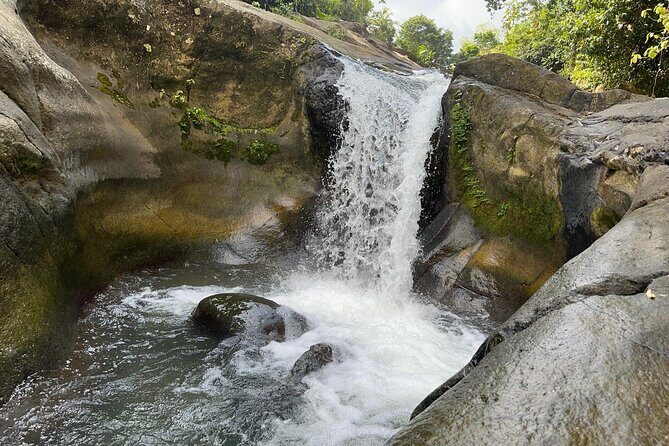 El Yunque & Beach Tour: Waterslide, Waterfall, Food, & Photos - Exploring the Itinerary in Detail