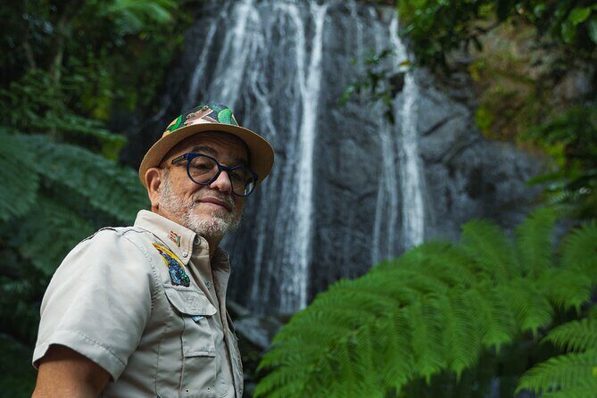 El Yunque Educational Rainforest Walk Easy and Family Friendly - Good To Know