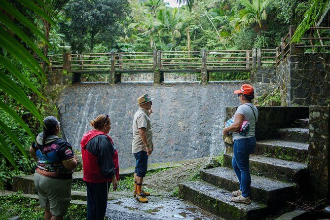 El Yunque Educational Rainforest Walk Easy and Family Friendly - The Sum Up