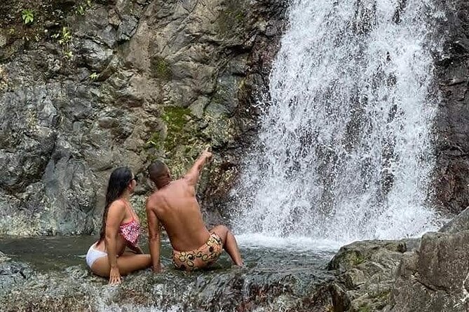 El Yunque: Hiking & Waterfall Tour - Tour Highlights