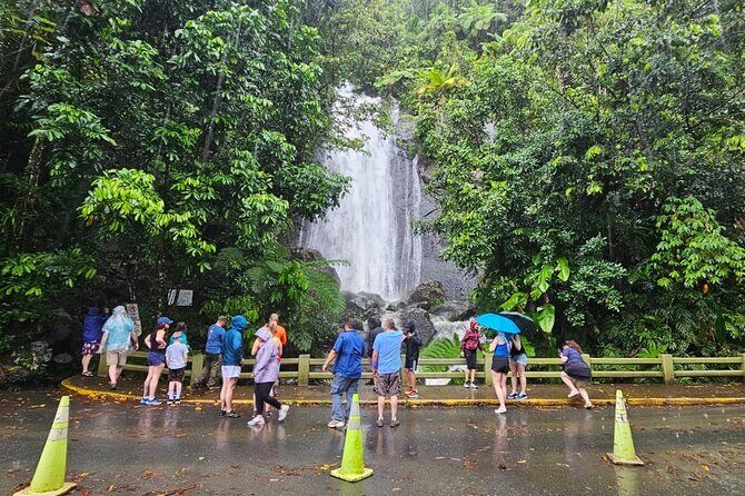 El Yunque National Forest and Luquillo Kiosks Combo - An In-Depth Look at the Tour Experience