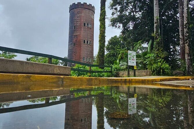El Yunque National Forest and Luquillo Kiosks Combo - The Sum Up