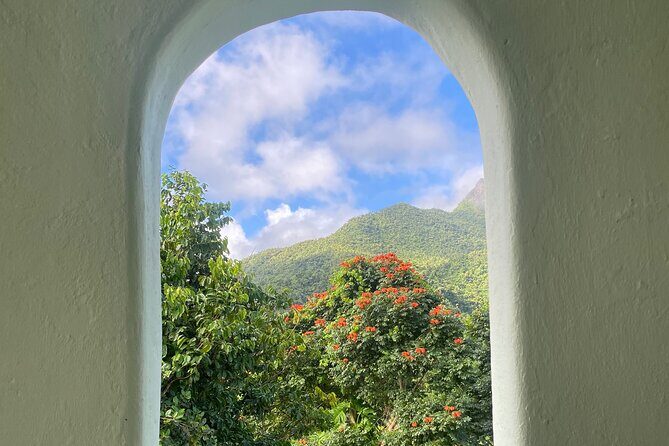 El Yunque National Forest Guided Tour with Transport - Group Size and Pacing