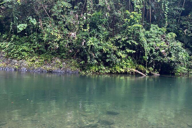 El Yunque National Forest Guided Tour with Transport - Practical Tips for Travelers