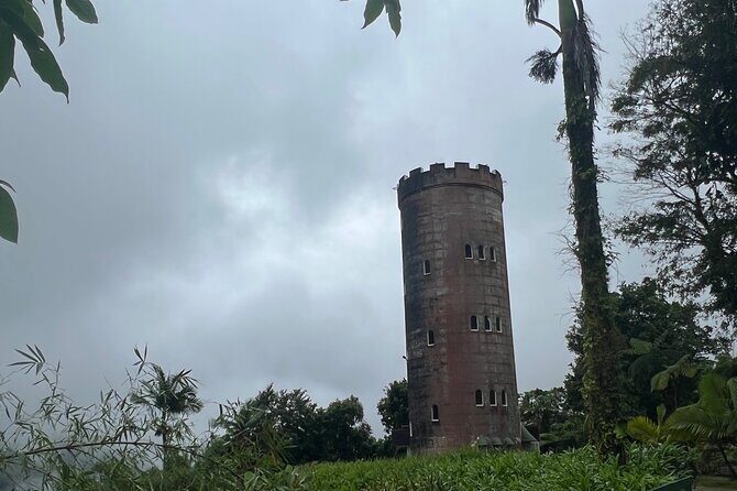 El Yunque National Forest Guided Tour with Transport - What Reviewers Say