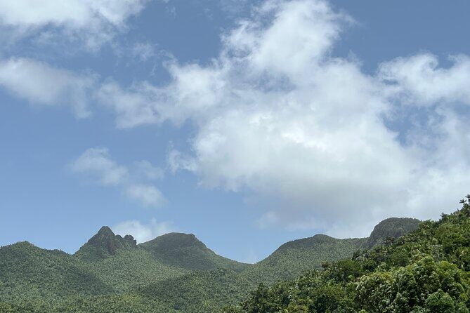 El Yunque National Forest Guided Tour with Transport - Who Will Love This Tour?