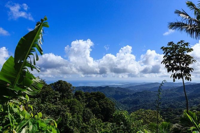 El Yunque National Forest Half Day Tour - Cancellation Policy
