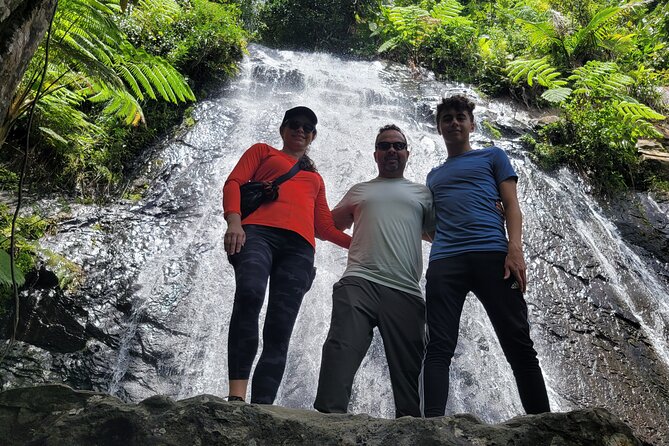 El Yunque National Forest - The Road 191 Corridor - Half Day Tour - Tour Start Time