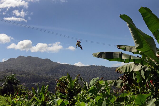 El Yunque National Forest Ziplining Experience  - Luquillo - Meeting and Pickup