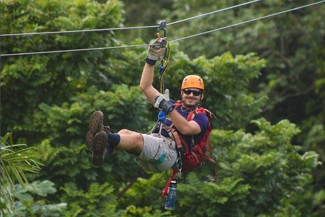 El Yunque National Forest Ziplining Experience  - Luquillo - The Sum Up