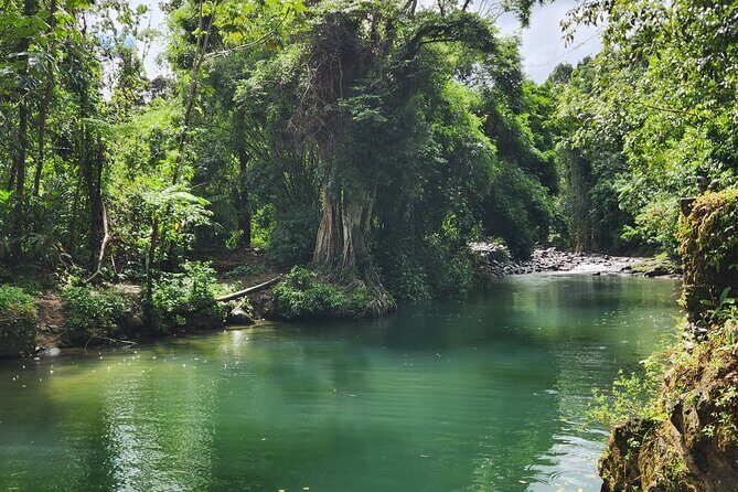 El Yunque National Rainforest and Luquillo Beach Tour - Why This Tour Works for Most Travelers