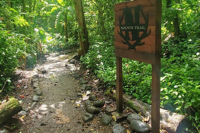 El Yunque National Rainforest and Luquillo Beach Tour - Final Thoughts