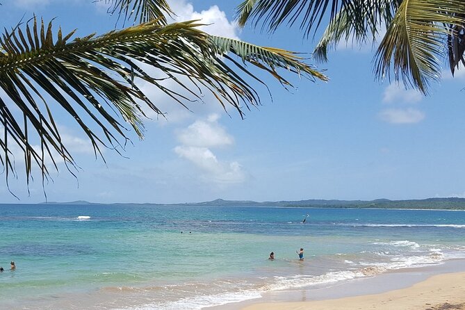El Yunque Natural Slide and Luquillo Beach-Private Tour of Eastern Puerto Rico - Recommendations