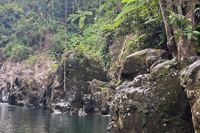 El Yunque Rainforest Adventure: Hidden Waterfalls & Water Slides - Good To Know  