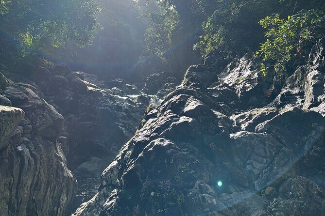 El Yunque Rainforest Adventure: Hidden Waterfalls & Water Slides - Who Might Want to Consider Other Options?