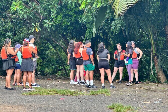 El Yunque Rainforest Adventure: Hidden Waterfalls & Water Slides - The Sum Up