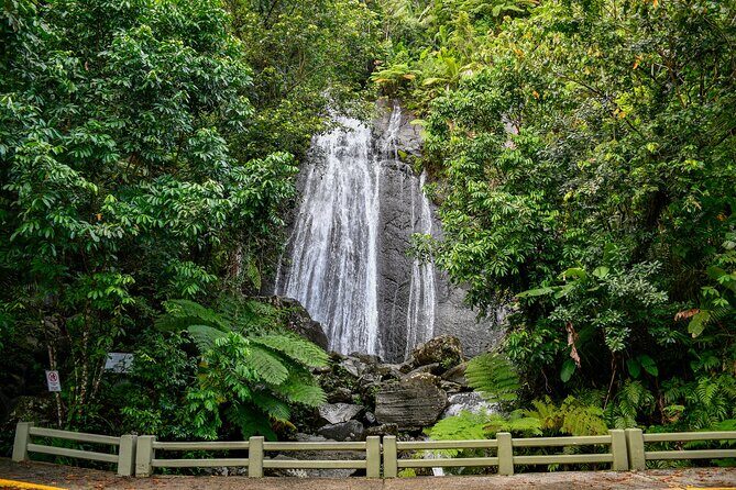 El Yunque Rainforest and Luquillo Beach and Kiosk Private Tour - Who Will Love This Tour?