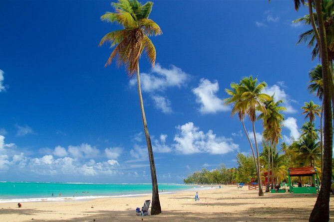 El Yunque Rainforest and Luquillo Beach Combo Tour - Tour Companys Commitment to Improvement