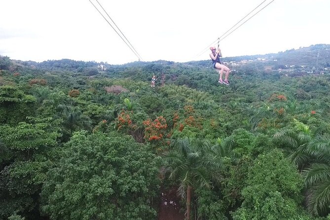 El Yunque Rainforest and Zipline Canopy Combo Tour - Tour Overview and Logistics
