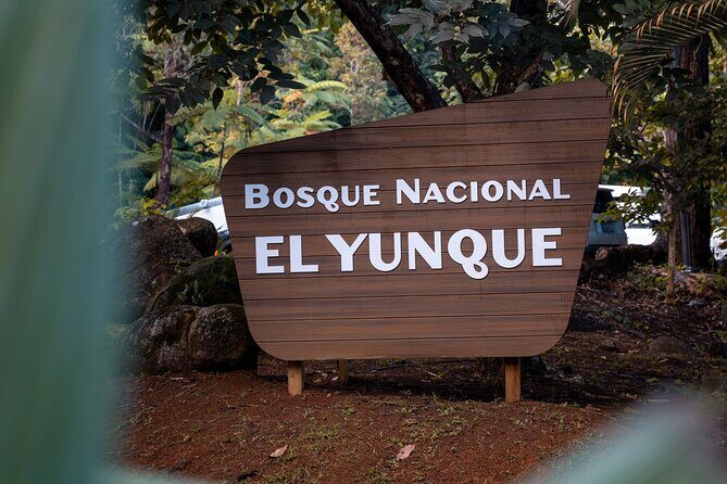 El Yunque Rainforest EZ-going Bus Tour (wheelchair accessible) - Good To Know