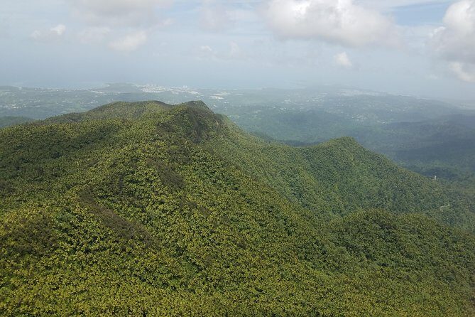 El Yunque Rainforest Full Day Private Tour - Frequently Asked Questions